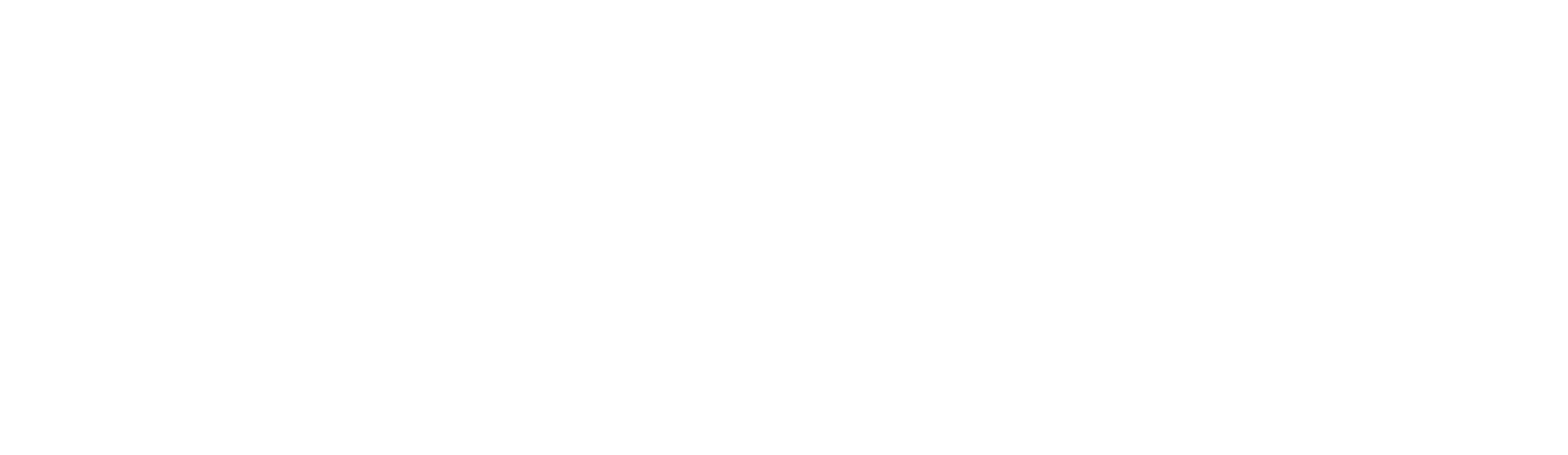 Prospectus logo