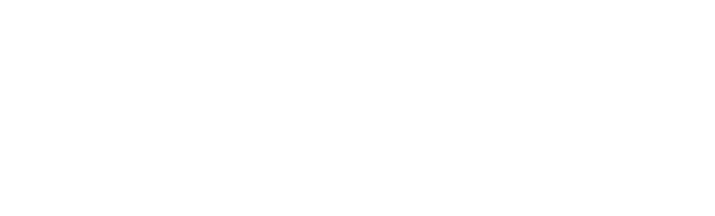 Prospectus logo