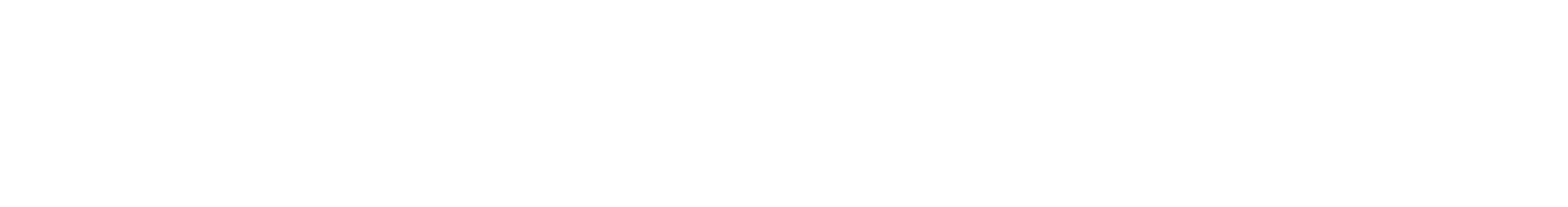 White text Prospectus plus logo