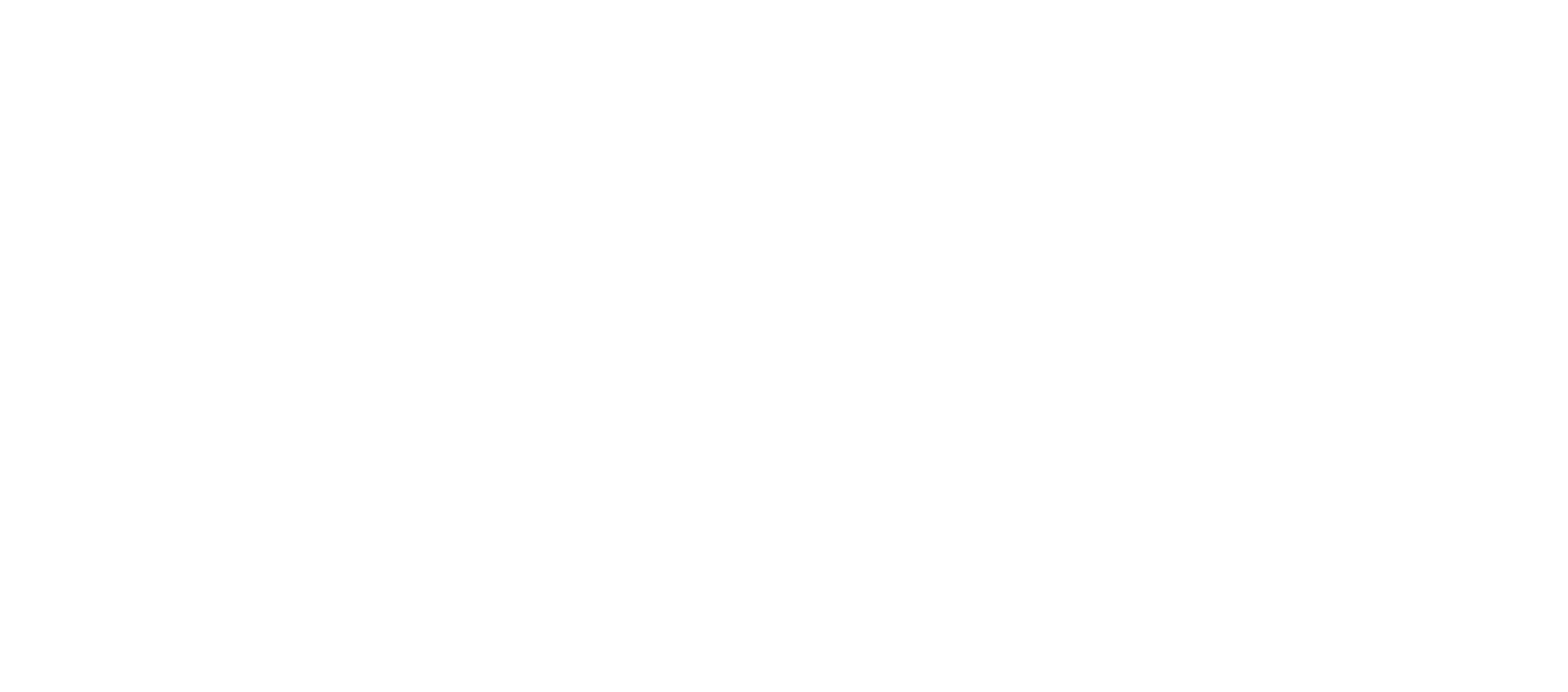 White text Prospectus plus logo